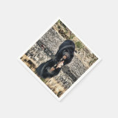 Serviette En Papier Réflexions de l'ours noir (Coin)