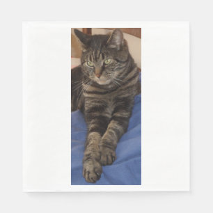 Serviette En Papier Regal Dave White Standard Papier de déjeuner Napki
