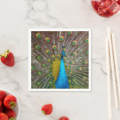 Serviette En Papier Regal Peacock Bird avec Turquoise et Gold Plumage (En situation)