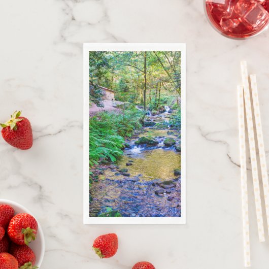 Serviette En Papier Rego da armenteira (En situation)