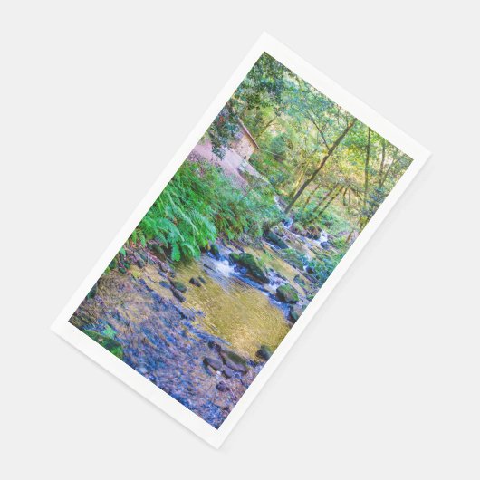 Serviette En Papier Rego da armenteira (Coin)