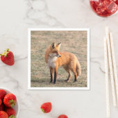 Serviette En Papier Renard rouge dans un champ (En situation)
