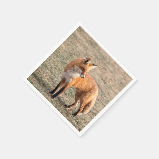 Serviette En Papier Renard rouge dans un champ (Coin)