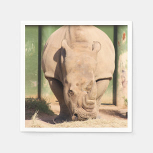 Serviette En Papier rhinocéros blanc