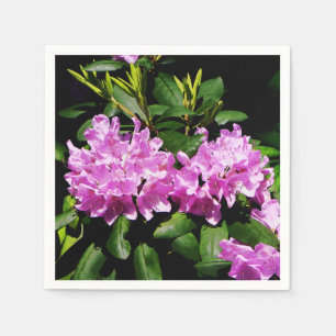 Serviette En Papier Rhododendron Closeup