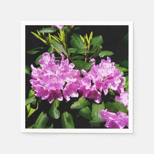 Serviette En Papier Rhododendron Closeup (Devant)