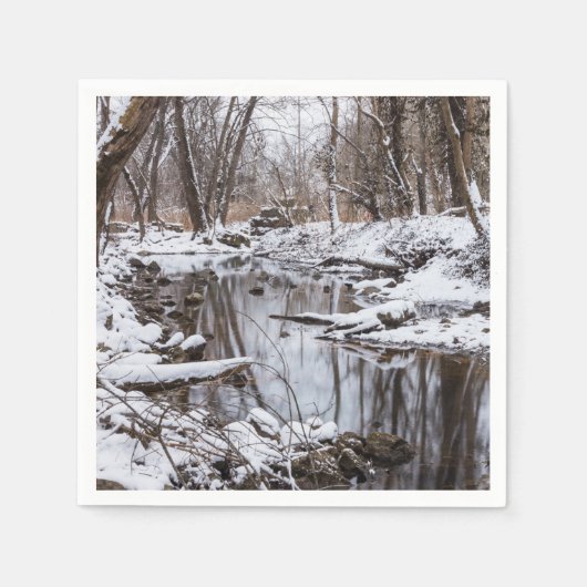 Serviette En Papier Rivière des neiges (Devant)