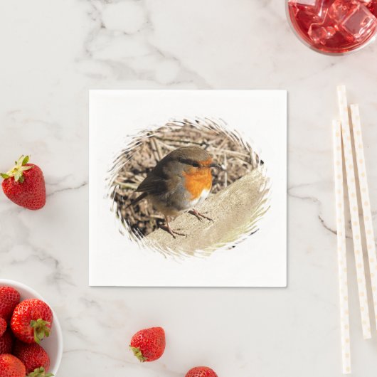 SERVIETTE EN PAPIER ROBIN (En situation)