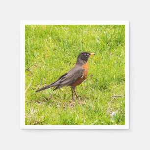 Serviette En Papier Robin américain