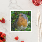 Serviette En Papier Robin des serviettes proches (En situation)