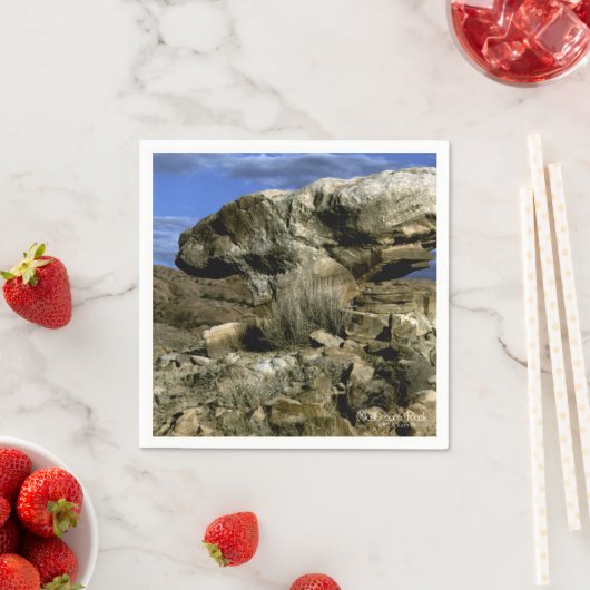 Serviette En Papier Roche de champignons (En situation)