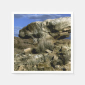 Serviette En Papier Roche de champignons (Devant)