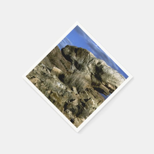 Serviette En Papier Roche de champignons (Coin)