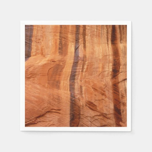 Serviette En Papier Roche striée de double arc Alcove II à Sion (Devant)