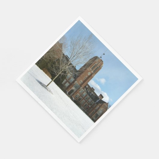 Serviette En Papier Rockwell en hiver au Grove City College (Coin)