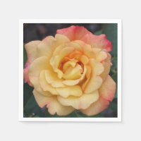 Rose Beautiful Pink and Yellow Floral