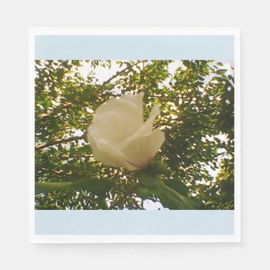 Serviette En Papier Rose blanche (Devant)