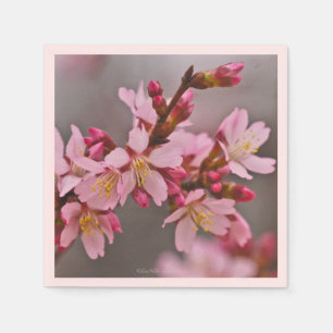 Serviette En Papier Rose Contre Ciel Gris Cerise Fleurs Napkin