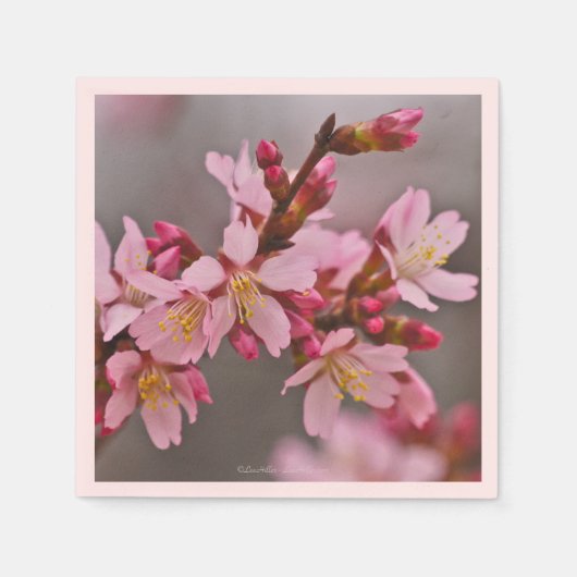 Serviette En Papier Rose Contre Ciel Gris Cerise Fleurs Napkin (Devant)