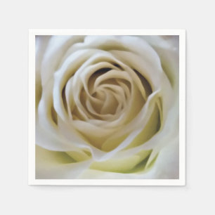Serviette En Papier Rose crème blanche closeup détail fleur naturelle