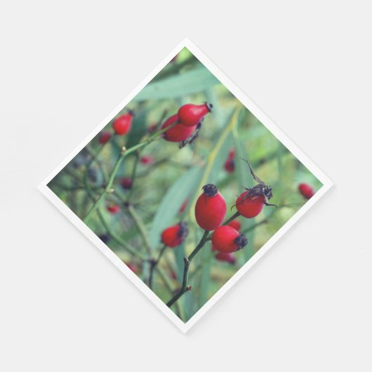 Serviette En Papier Rose hanche Automne Phtographie Papier Napkin (Coin)