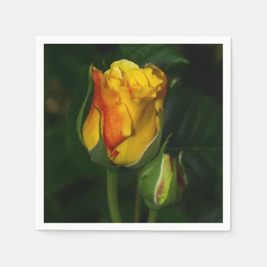 Serviette En Papier Rose jaune (Devant)