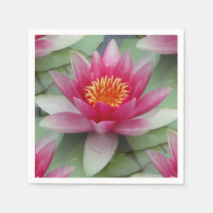 Serviette En Papier Rose Lotus Water Lily