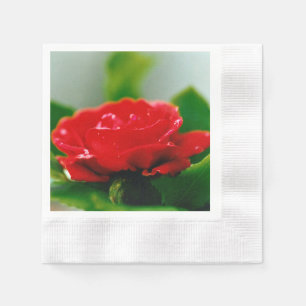 Serviette En Papier Rose rouge du matin recouverte de gouttes de rosée
