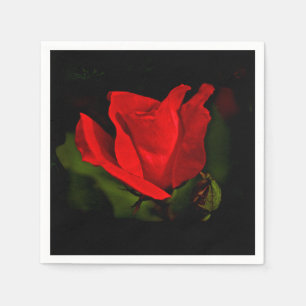 Serviette En Papier Rose rouge - Passion noire