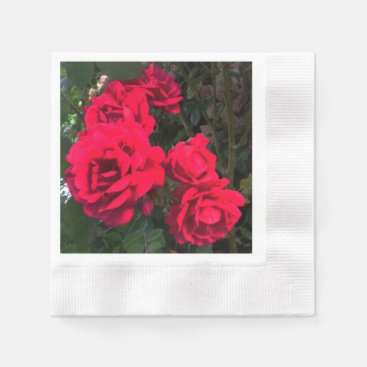 Serviette En Papier Roses rouges florissantes (Devant)