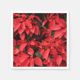Serviette En Papier Rouge Poinsettias II Noël Fête Florale