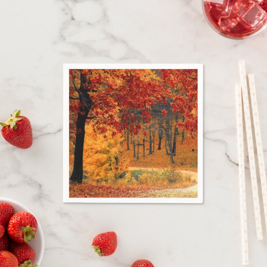 Serviette En Papier Route d'automne (En situation)