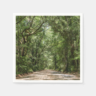 Serviette En Papier Route Vers Angel Oak