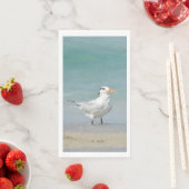 Serviette En Papier Royal Tern Coastal Beach Photographie (En situation)
