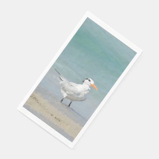 Serviette En Papier Royal Tern Coastal Beach Photographie (Coin)