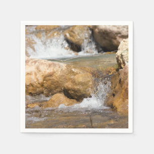 Serviette En Papier Ruisseau orageux au printemps