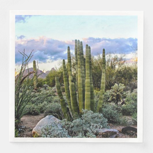 Serviette En Papier Scottsdale Succulent Sunset (Devant)