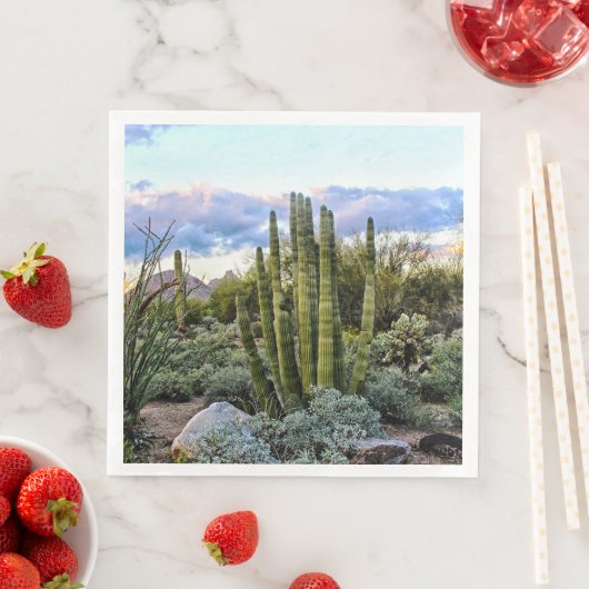 Serviette En Papier Scottsdale Succulent Sunset (En situation)