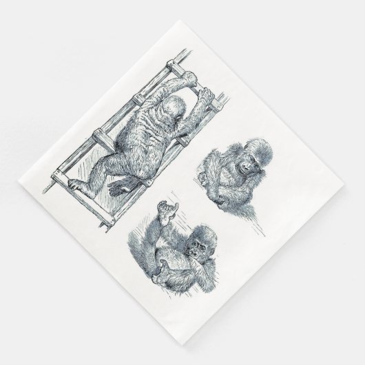 Serviette En Papier Se Poser Autour - Young Ape Gorilla (Coin)