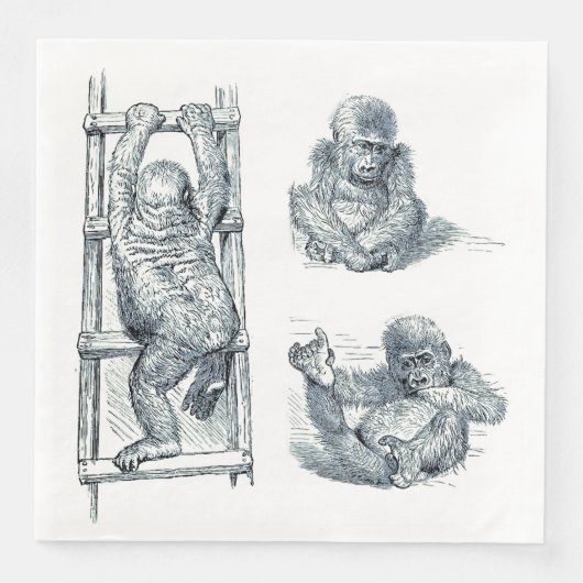 Serviette En Papier Se Poser Autour - Young Ape Gorilla (Devant)
