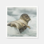 Serviette En Papier Seal bébé doux (Devant)