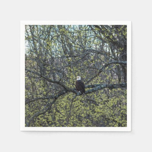 Serviette En Papier Sensibilisation aux aigles (Devant)