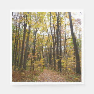 Serviette En Papier Sentier d'automne et feuilles dorées à Laurel Hill