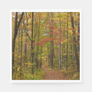 Serviette En Papier Sentier de Laurel Hill en automne