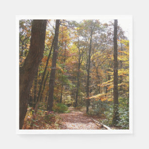 Serviette En Papier Sentier ensoleillé d'automne à Laurel Hill State P