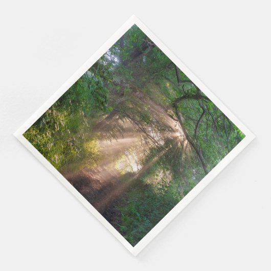 Serviette En Papier sentier forestier (Coin)