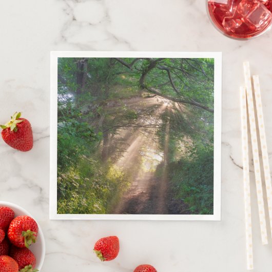 Serviette En Papier sentier forestier (En situation)