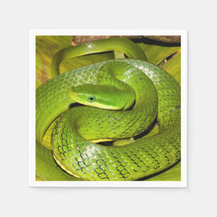 Serviette En Papier Serpent de rat vert de Bush