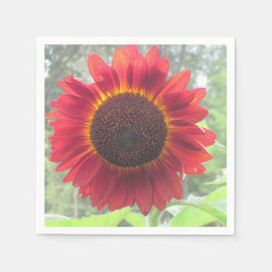 Serviette En Papier Serre de tournesol rouge rouillé