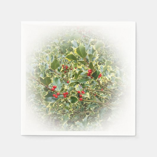 Serviette En Papier Serrures Holly (Devant)